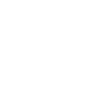 National Association of Public Insurance Adjusters logo